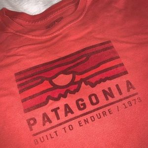Patagonia graphic T-shirt